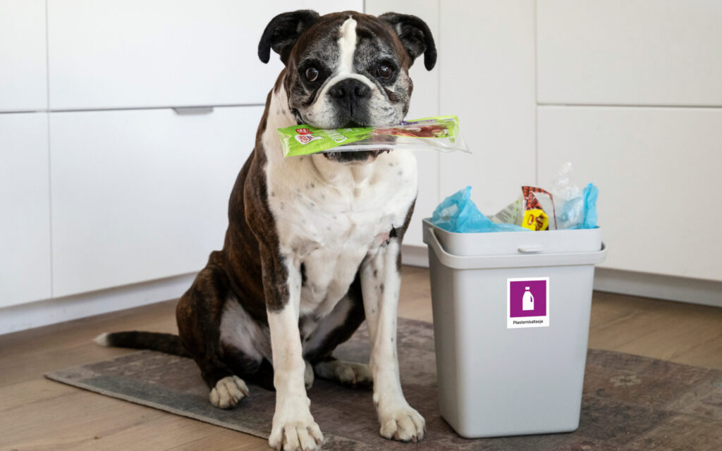 Hunden Herman som holder påleggsemballasje i plast i munnen, og ved siden av han er det en søppelbøtte merket sorteringsmerke for plastemballasje.