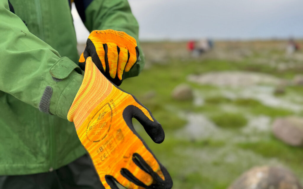 Mann som tar på jeg hanske for rydding i skjærgården.