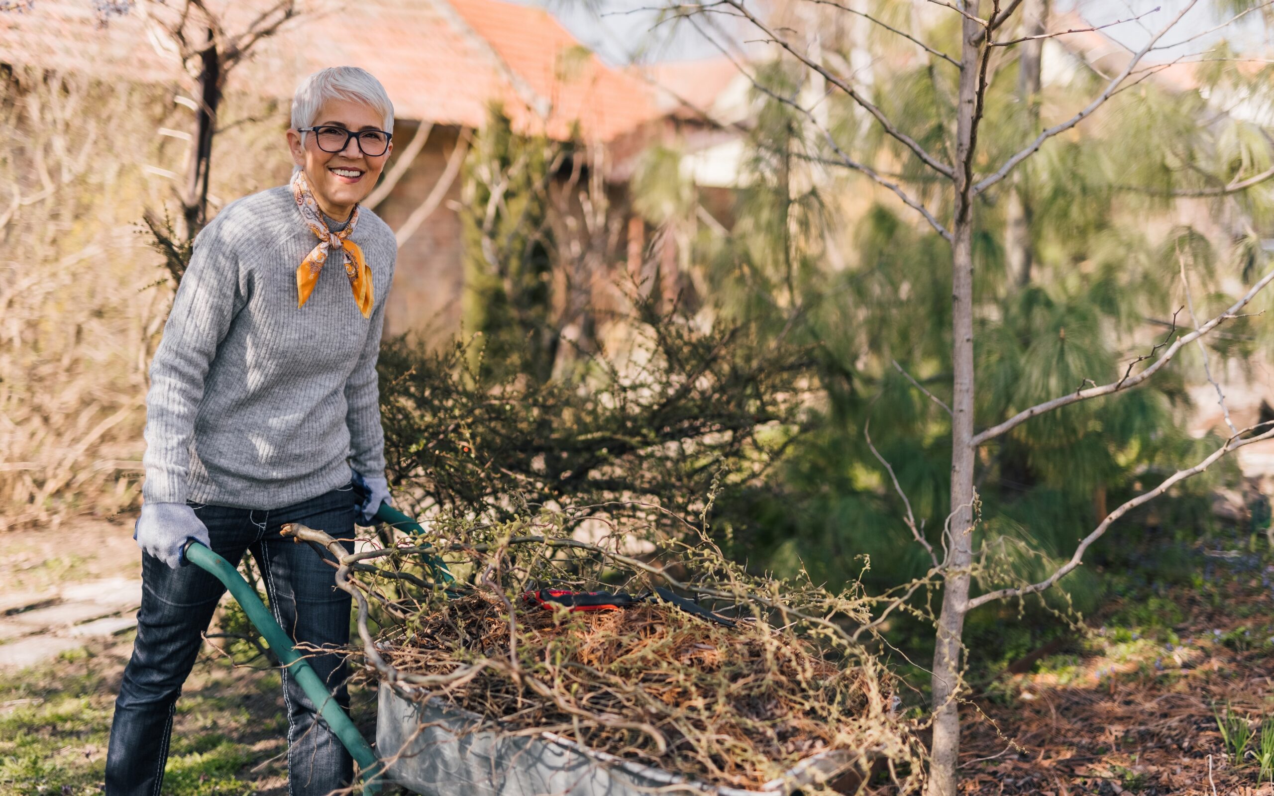 Dame som rydder i hagen hjemme. Holder trillebår full av hageavfall.