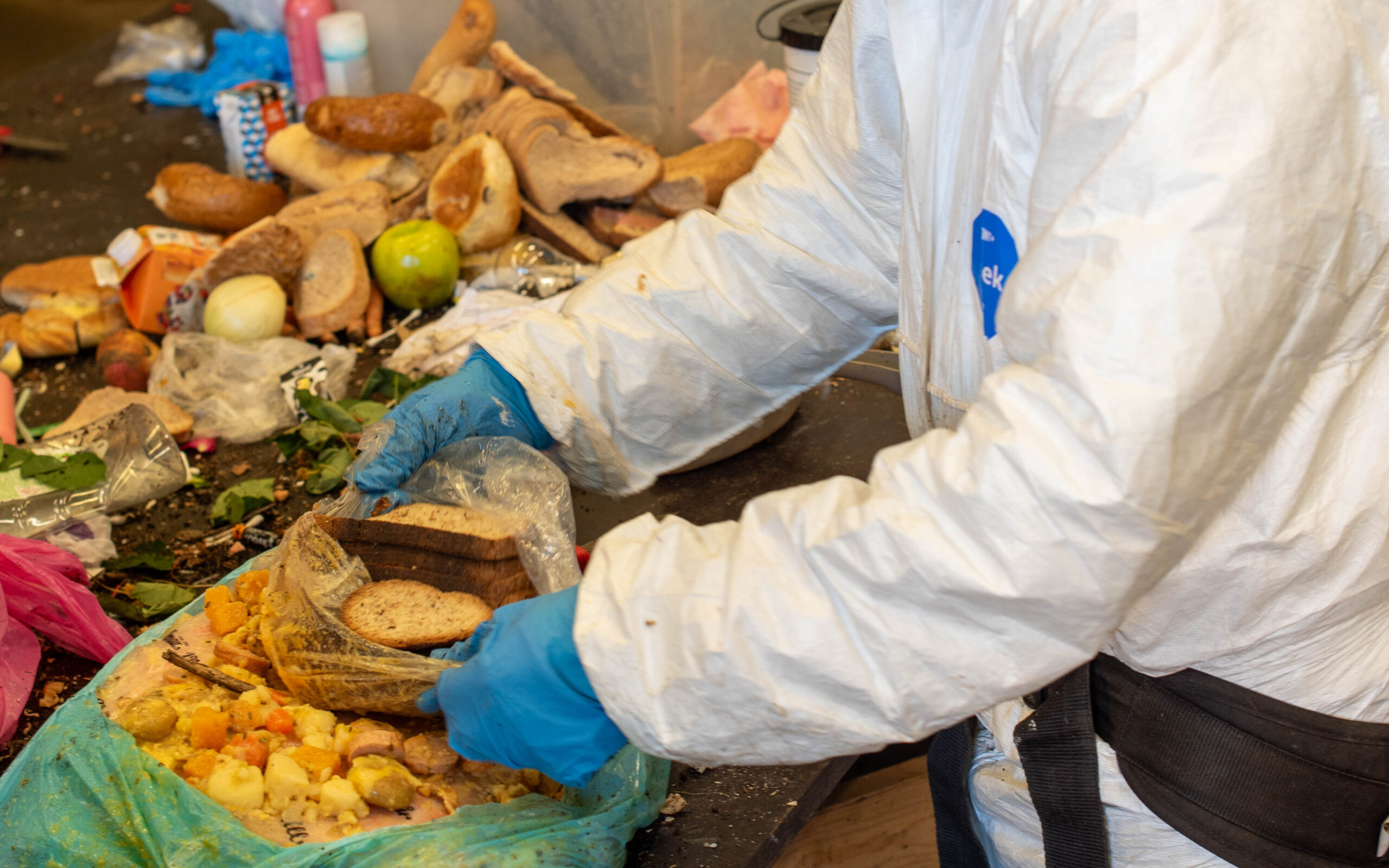 Medarbeider som åpner avfallspose med masse matavfall i forbindelse med sorteringsundersøkelse av restavfall.