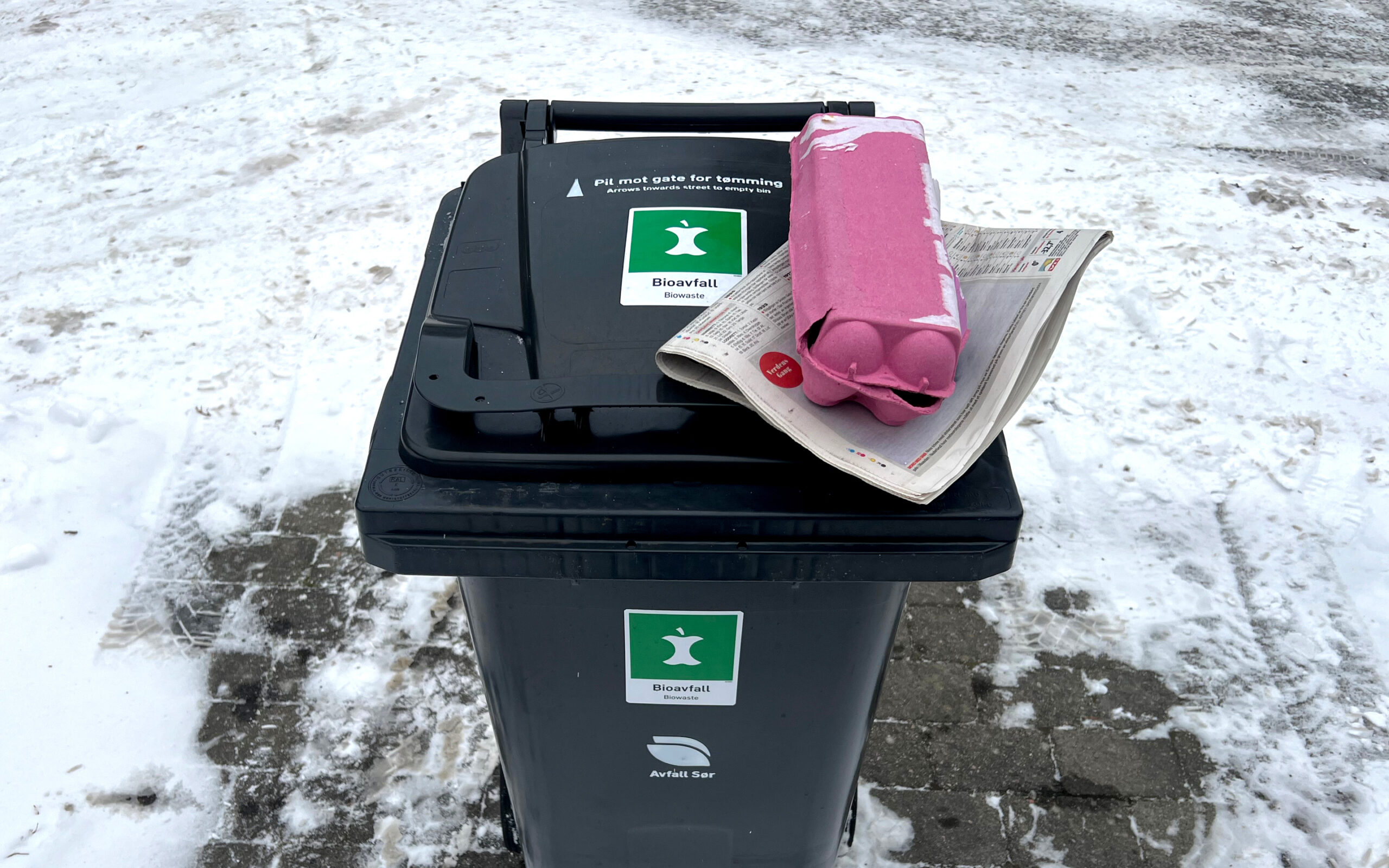Lukket bioavfallsdunk om vinteren. Avis og eggekartong plassert oppå lokket.